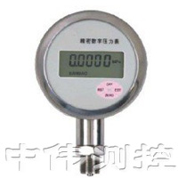 精密數(shù)字壓力錶
