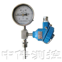 防爆(bao)型雙金屬溫(wen)度計(jì)