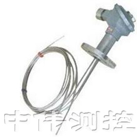 多點防爆熱(re)電偶