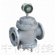 智能(neng)雙轉(zhuǎn)(zhuan)子流量計