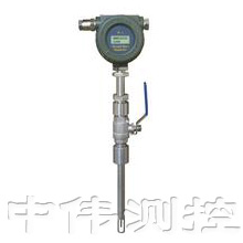 挿入式(shi)熱式氣體質(zhì)量流量計(jì)(ji)
