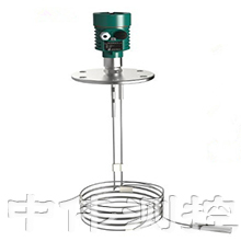 雙(shuang)桿式導波雷達液(ye)位計